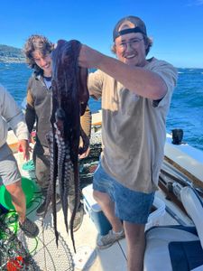 Octopus Fishing Nanaimo BC
